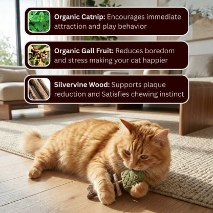 Catnip & Silvervine Chew 🔥